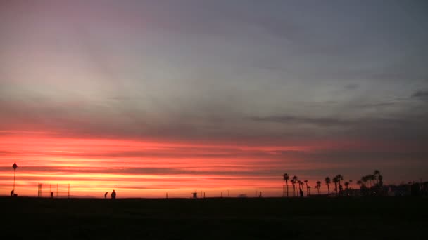 Newport Beach Ηνωμένες Πολιτείες — Αρχείο Βίντεο