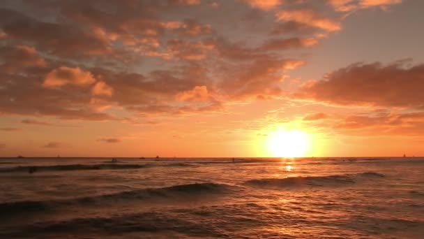 Waikiki Oahu Hawaii Estados Unidos América — Vídeo de Stock