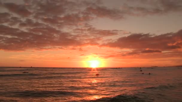 美国夏威夷瓦胡岛Waikiki — 图库视频影像