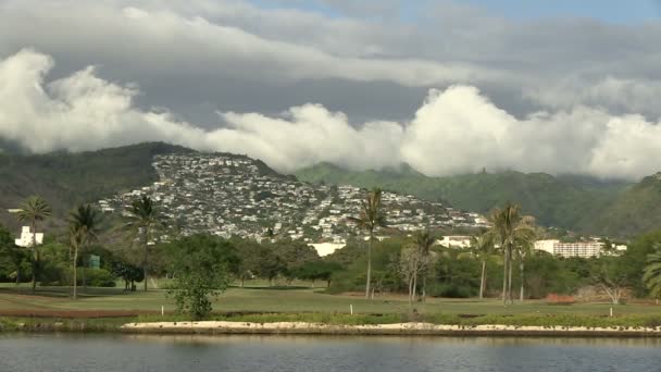 Ala Wai Canal Oahu Hawaii Egyesült Államok — Stock videók