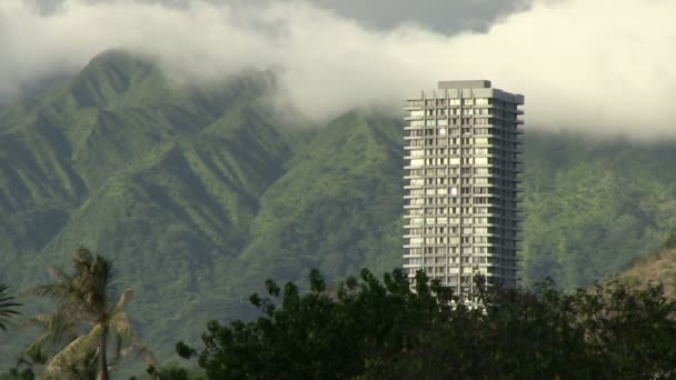 Oahu View Ala Wai Canal Hawaii Amerikai Egyesült Államok — Stock videók