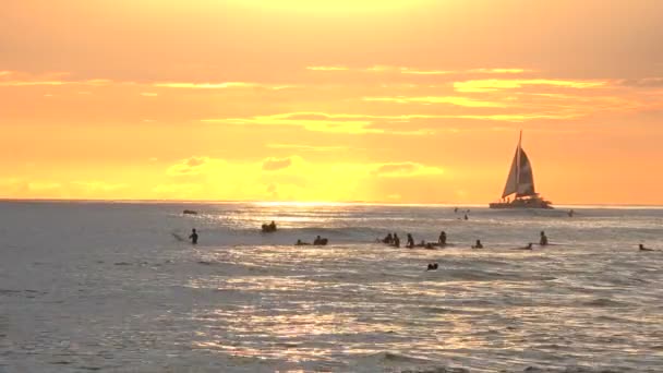 Waikiki Oahu Hawaii États Unis — Video