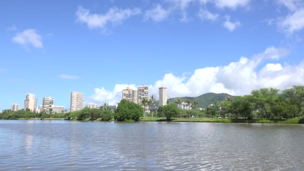 Ala Wai Canal Oahu Гавайи Сша — стоковое видео