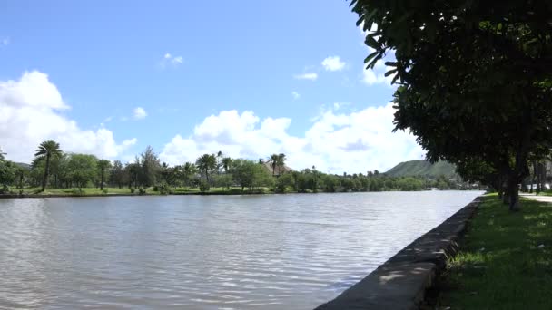 Ala Wai Canal Oahu Hawaje Stany Zjednoczone Ameryki — Wideo stockowe
