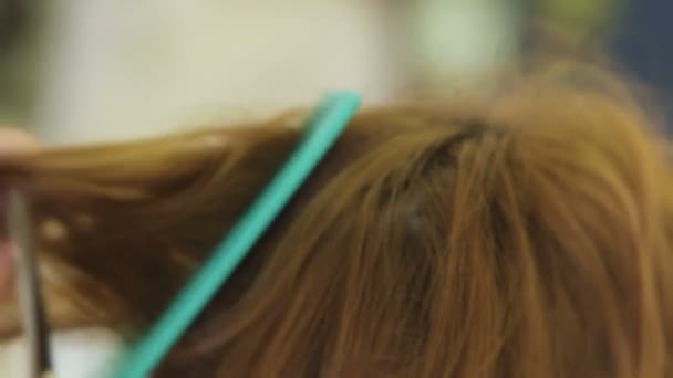 Kuaför Makasla Kadın Saçını Kesiyor — Stok video