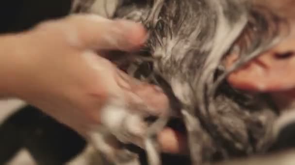 头发处理及头皮按摩 — 图库视频影像