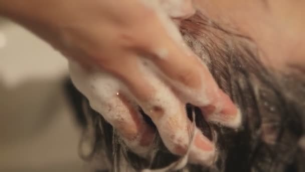 头发处理及头皮按摩 — 图库视频影像
