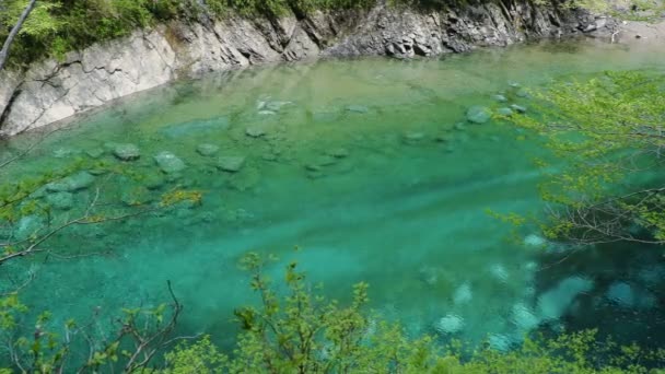 Emerald Blue Water Yushin Valley Tanzawa Japan — Stockvideo