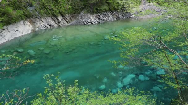 丹沢市湯心谷エメラルドブルーの水 — ストック動画