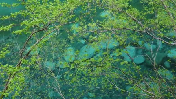 Изумрудная Голубая Вода Долина Юси Танзава Япония — стоковое видео