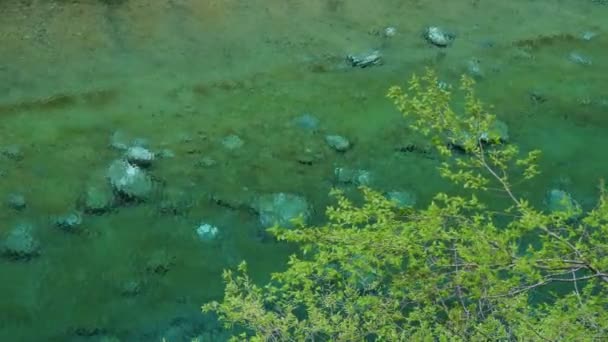 Emerald Blue Water Yushin Valley Tanzawa Japán — Stock videók