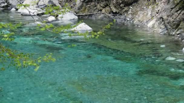 Emerald Blue Water Yushin Valley Tanzawa Japón — Vídeo de stock