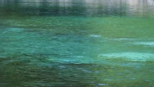 Emerald Blue Water Vallée Yushin Tanzawa Japon — Video