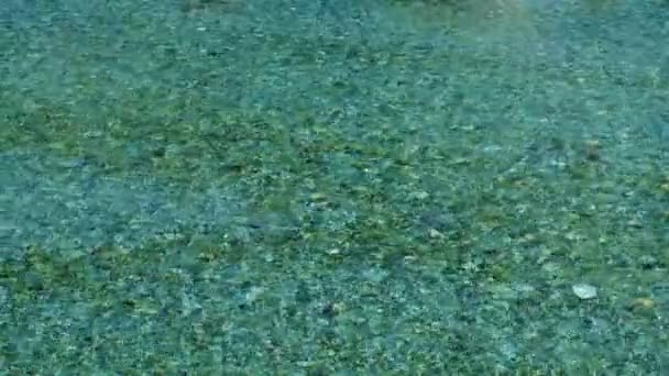 Emerald Blue Water Vallée Yushin Tanzawa Japon — Video