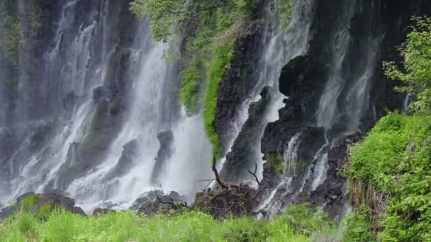 Shiraito Falls Shiraitonotaki Shizuoka Japón — Vídeos de Stock