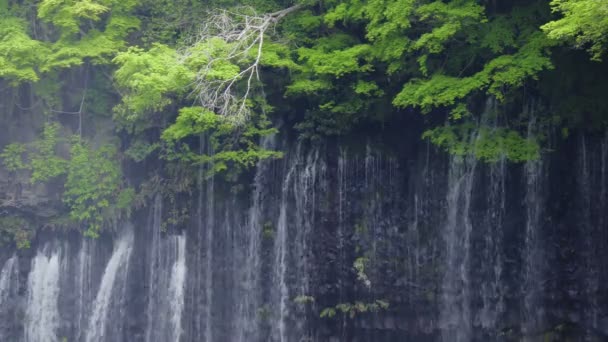 Shiraito Falls Shiraitonotaki Shizuoka Japan — Stockvideo