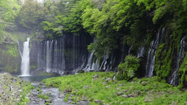Shiraito Falls Shiraitonotaki Shizuoka Japan 60Fps — Stock video