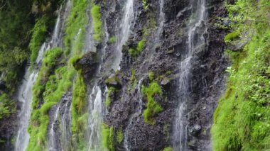 Shiraito Şelalesi (Shiraitonotaki), Shizuoka, Japonya, 60 fps