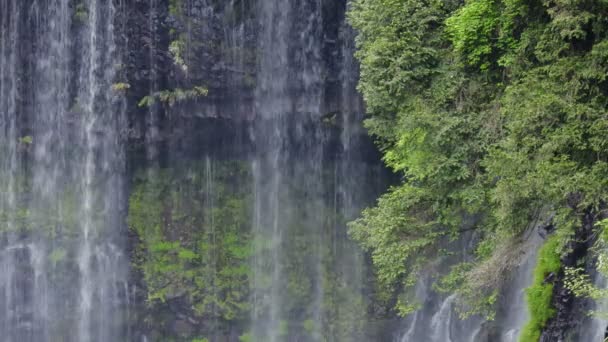 Shiraito Falls Shiraitonotaki Shizuoka Japan 60Fps — Stockvideo