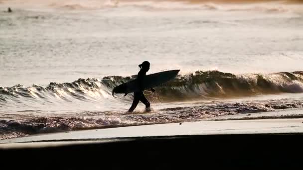 Surfer Plaży Zachodzie Słońca — Wideo stockowe