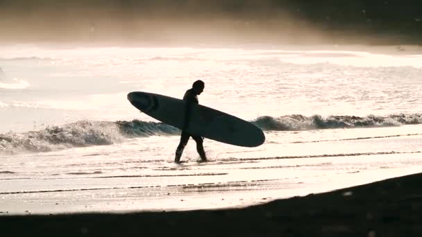 Surfer Het Strand Bij Zonsondergang — Stockvideo