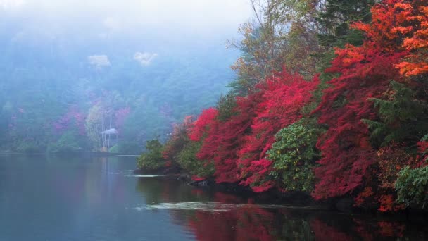 Λίμνη Shirakoma Nagano Ιαπωνία — Αρχείο Βίντεο