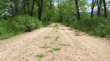 Doğru yol, Azumino, Nagano, Japonya