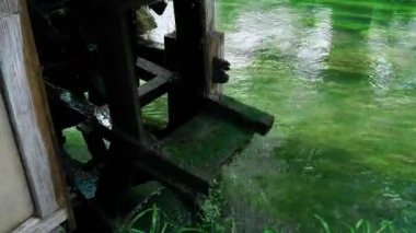 Daio Wasabi Çiftliği, Azumino, Nagano, Japonya
