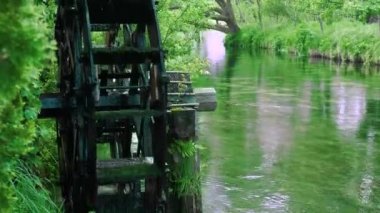 Daio Wasabi Çiftliği, Azumino, Nagano, Japonya