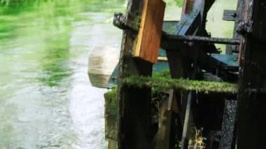 Daio Wasabi Çiftliği, Azumino, Nagano, Japonya