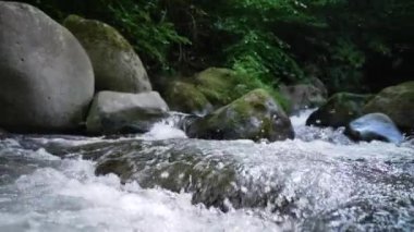 Dağ Akıntısı Kayaların arasından akıyor