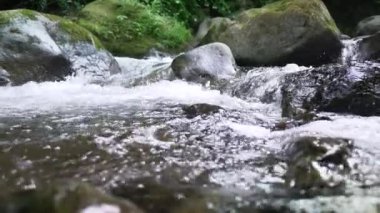 Dağ Akıntısı Kayaların arasından akıyor