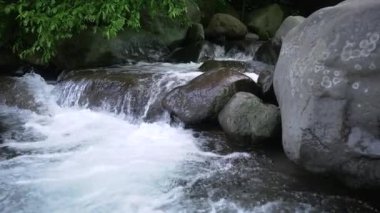 Dağ Akıntısı Kayaların arasından akıyor