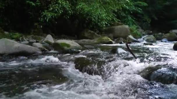 Gebirgsbach Fließt Durch Felsen — Stockvideo
