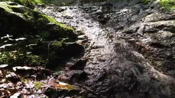 Ruisseau Montagne Qui Traverse Une Petite Falaise — Video