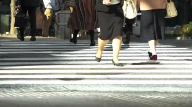 Zebra Geçidi 'nde Yürüyen İnsanlar