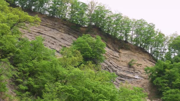 Falaises Énormes Ancienne Strate Appelée Youbake Chichibu Saitama Japon — Video