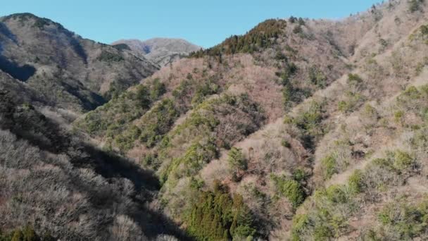 Veduta Aerea Delle Montagne Tanzawa Inverno Kanagawa Giappone — Video Stock