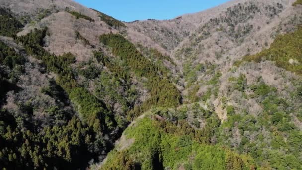 Luchtfoto Van Het Tanzawa Gebergte Winter Kanagawa Japan — Stockvideo