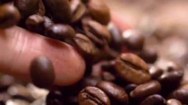 Yakından çekilmiş kahve çekirdekleri ellerinden dökülüyor.