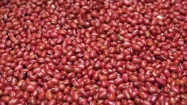 Κοντινό Πλάνο Του Adzuki Beans Falling Pile — Αρχείο Βίντεο