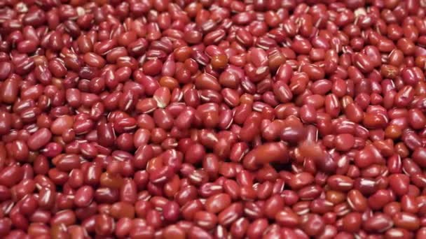 Κοντινό Πλάνο Του Adzuki Beans Falling Pile — Αρχείο Βίντεο