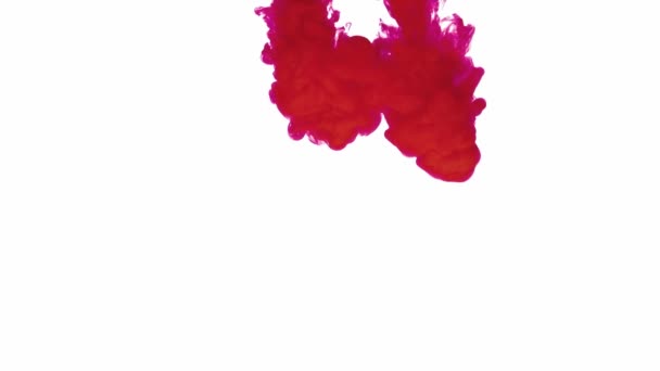 红色油漆滴落在水中 — 图库视频影像