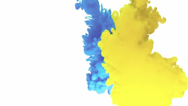 水の中で混合青と黄色の塗料滴 — ストック動画