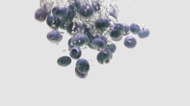 新鲜蓝莓落水 白色背景分离 — 图库视频影像