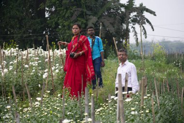 Khirai Midnapore, Batı Bengal, Hindistan - 11 Ekim 2020: çiçek ekiminin tadını çıkaran turist