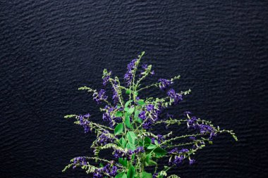 Çiçek kompozisyonu & Kağıt arkaplanda çiçek açan güzel mavi çiçekler.