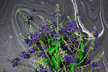 Çiçek kompozisyonu & Kağıt arkaplanda çiçek açan güzel mavi çiçekler.