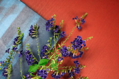 Çiçek kompozisyonu & Kağıt arkaplanda çiçek açan güzel mavi çiçekler.