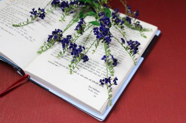 Çiçek kompozisyonu & Kağıt arkaplanda çiçek açan güzel mavi çiçekler.